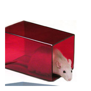 Rat retreat, red