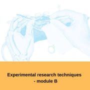 Kísérleti kutatási technikák tanfolyam - B modul