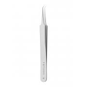 Student fine forceps - angled, student stainless steel, 11 cm