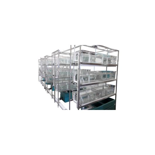 Xenopus Modular Systems Requiring Central Filtration