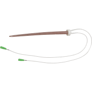 Képzési modell - patkány farkvéna